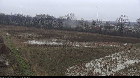 Cell 2_24-04-02_09-23-16-59