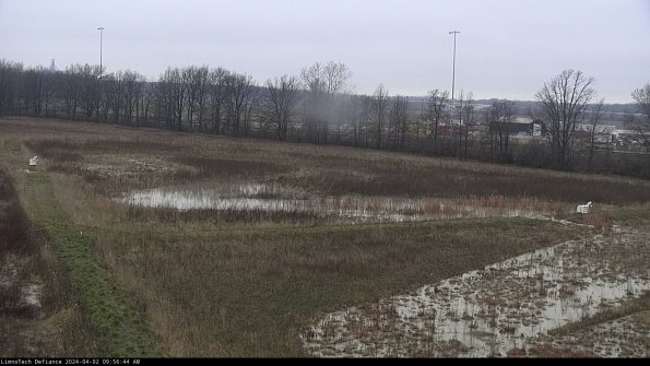 Cell 2_24-04-02_09-56-44-51