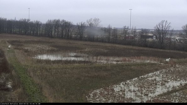 Cell 2_24-04-02_10-30-14-52