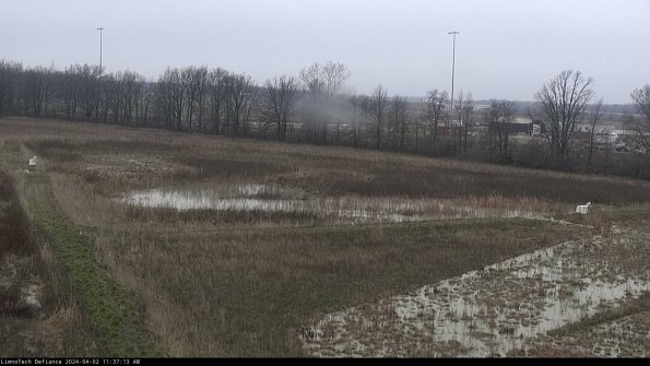 Cell 2_24-04-02_11-37-13-55