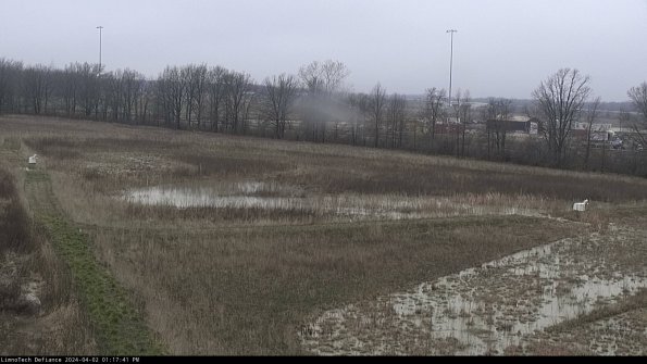 Cell 2_24-04-02_13-17-41-50