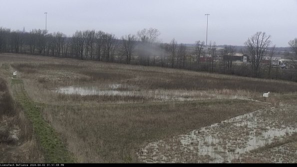 Cell 2_24-04-02_13-51-09-58