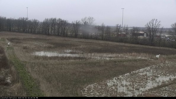 Cell 2_24-04-02_14-24-38-53