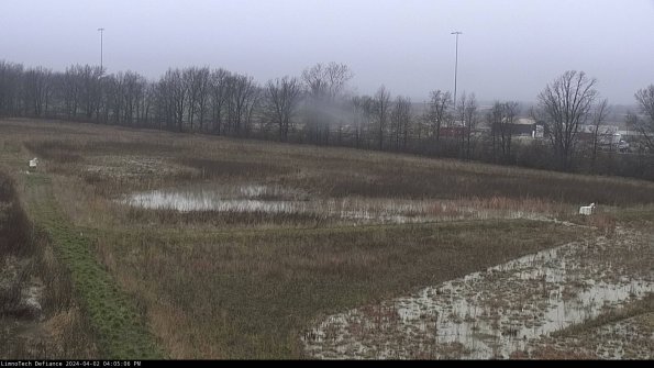 Cell 2_24-04-02_16-05-06-51