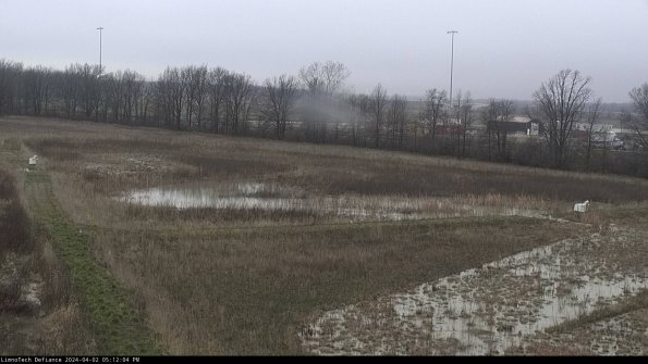 Cell 2_24-04-02_17-12-04-51