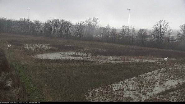 Cell 2_24-04-02_17-45-34-52