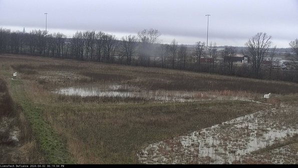 Cell 2_24-04-02_18-19-04-51