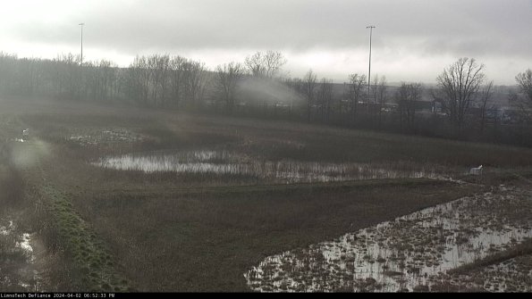 Cell 2_24-04-02_18-52-33-56