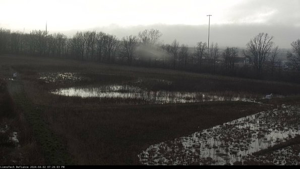 Cell 2_24-04-02_19-26-03-51