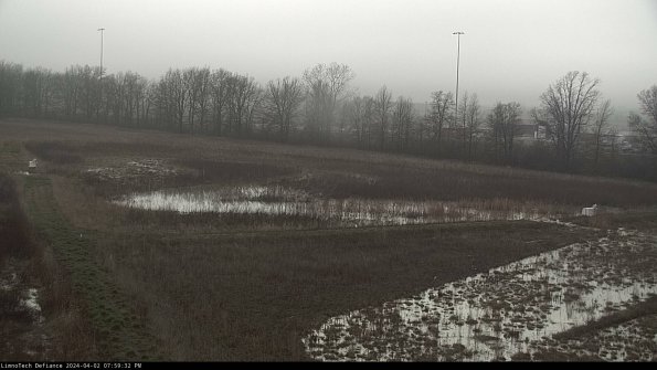 Cell 2_24-04-02_19-59-32-59