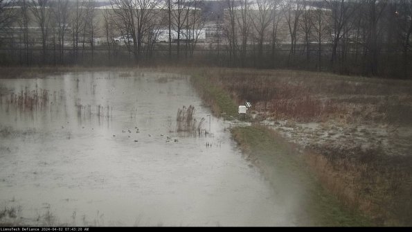 Cell 3 to 4_24-04-02_07-43-20-48