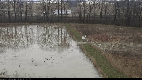 Cell 3 to 4_24-04-02_11-04-25-48