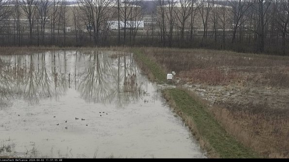 Cell 3 to 4_24-04-02_11-37-55-49