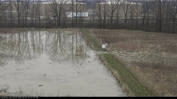 Cell 3 to 4_24-04-02_13-51-51-49