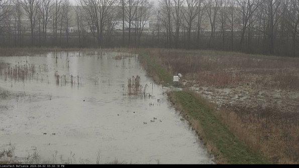 Cell 3 to 4_24-04-02_15-32-18-50