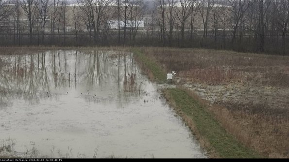 Cell 3 to 4_24-04-02_16-05-48-48