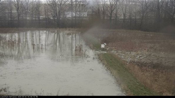 Cell 3 to 4_24-04-02_17-46-16-50