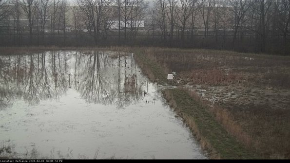 Cell 3 to 4_24-04-02_20-00-14-50