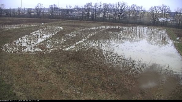 Cell 3_24-04-02_09-23-43-75