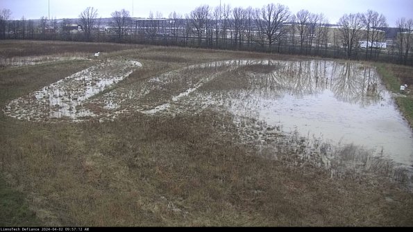 Cell 3_24-04-02_09-57-12-50