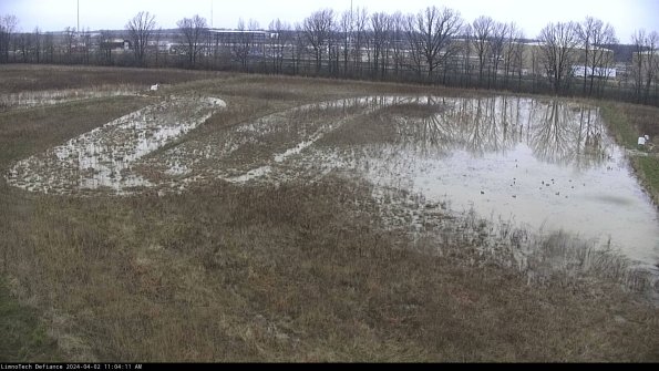 Cell 3_24-04-02_11-04-11-50