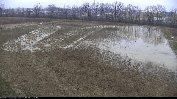 Cell 3_24-04-02_12-11-10-49