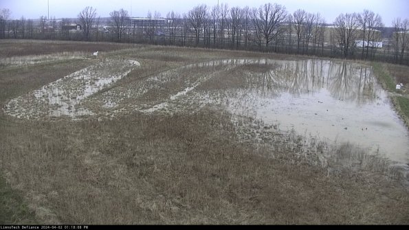 Cell 3_24-04-02_13-18-08-76