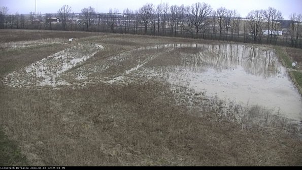 Cell 3_24-04-02_14-25-06-49