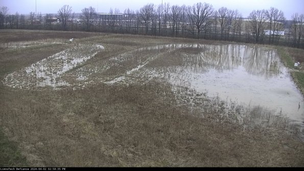 Cell 3_24-04-02_14-58-35-74