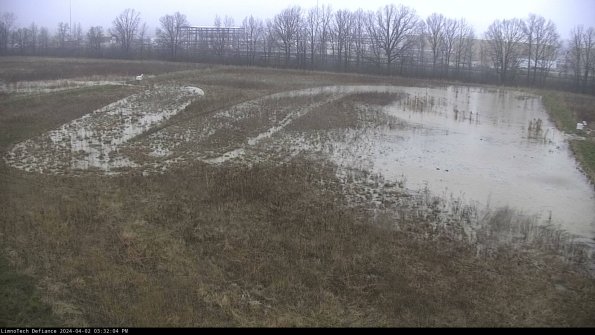 Cell 3_24-04-02_15-32-04-49