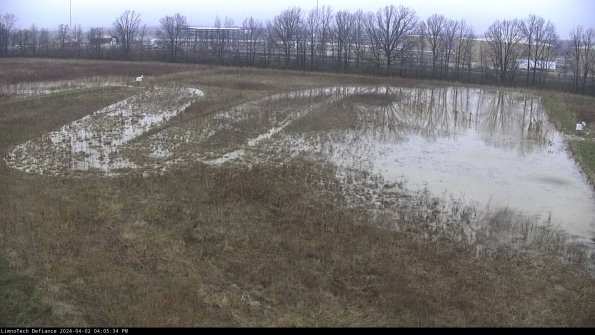 Cell 3_24-04-02_16-05-34-50