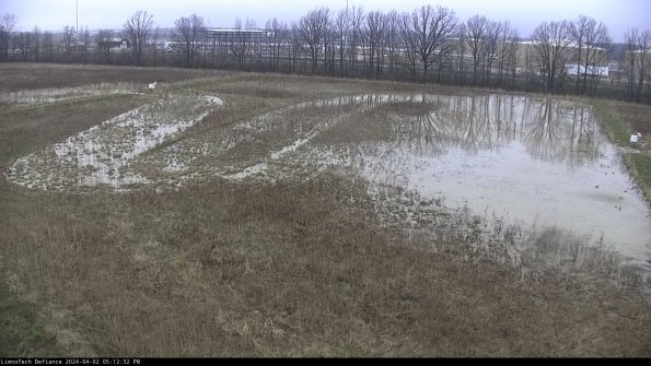 Cell 3_24-04-02_17-12-32-50