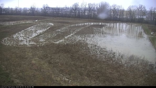 Cell 3_24-04-02_17-46-02-48