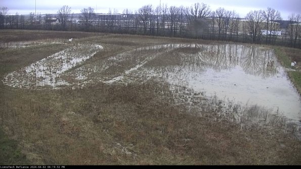 Cell 3_24-04-02_18-19-32-50