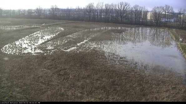 Cell 3_24-04-02_18-53-01-49