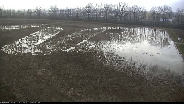 Cell 3_24-04-02_19-26-31-50