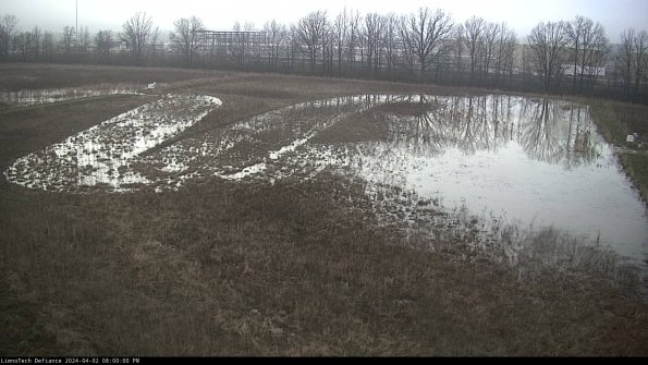 Cell 3_24-04-02_20-00-00-52