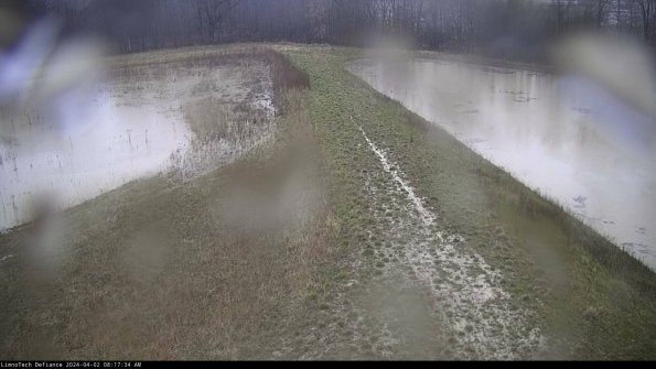 Cell 4 to Basin_24-04-02_08-17-34-51