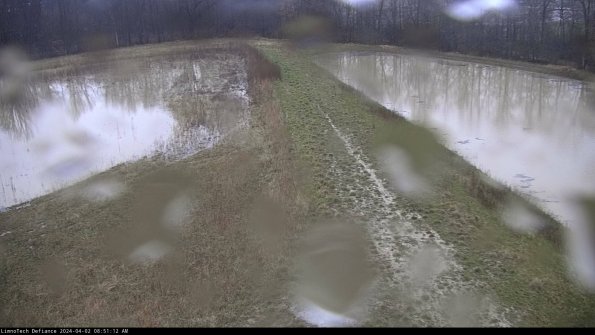 Cell 4 to Basin_24-04-02_08-51-12-60