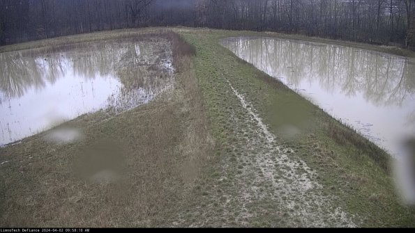 Cell 4 to Basin_24-04-02_09-58-10-52