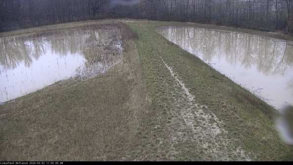 Cell 4 to Basin_24-04-02_11-05-09-49