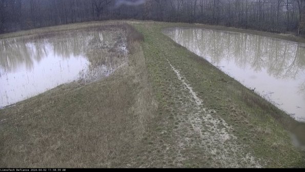 Cell 4 to Basin_24-04-02_11-38-39-50