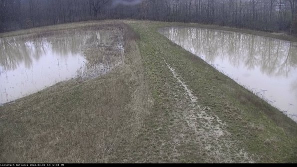 Cell 4 to Basin_24-04-02_12-12-08-48