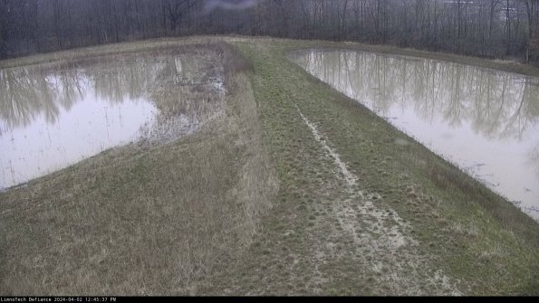 Cell 4 to Basin_24-04-02_12-45-37-53