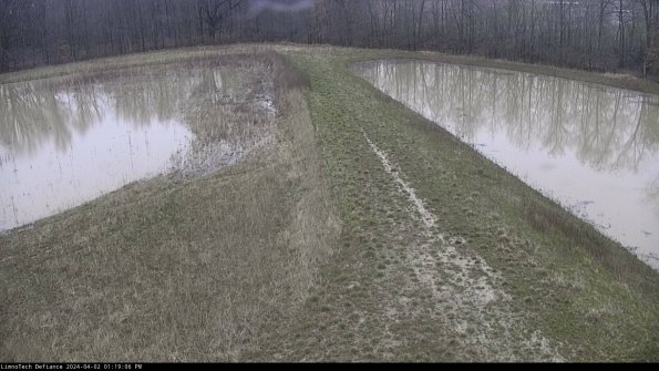 Cell 4 to Basin_24-04-02_13-19-06-51