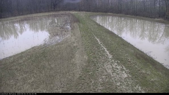 Cell 4 to Basin_24-04-02_13-52-35-50