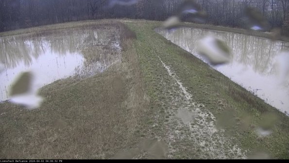 Cell 4 to Basin_24-04-02_16-06-32-49