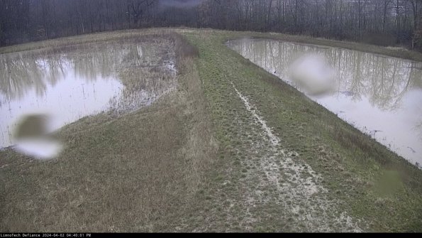 Cell 4 to Basin_24-04-02_16-40-01-48