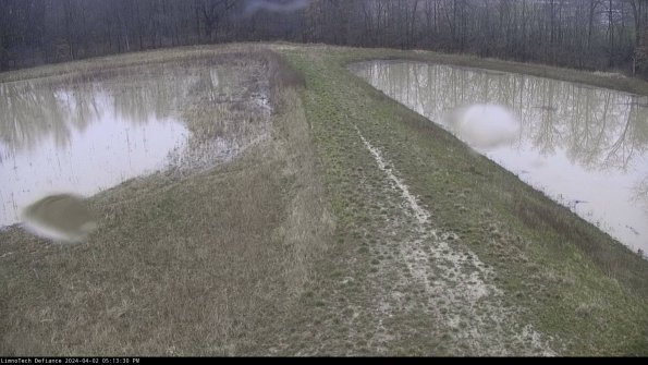 Cell 4 to Basin_24-04-02_17-13-30-53