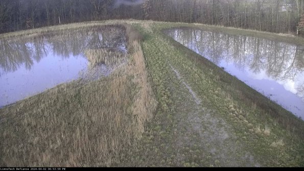 Cell 4 to Basin_24-04-02_18-53-59-55